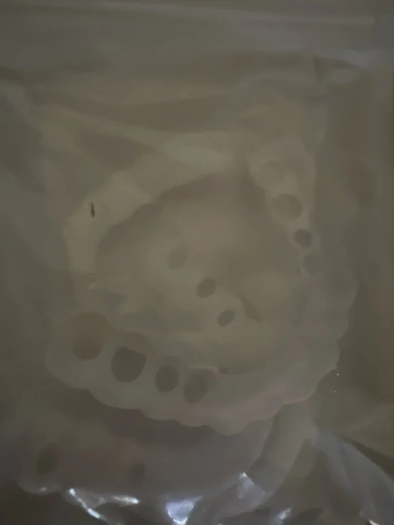 Image #1 from danish